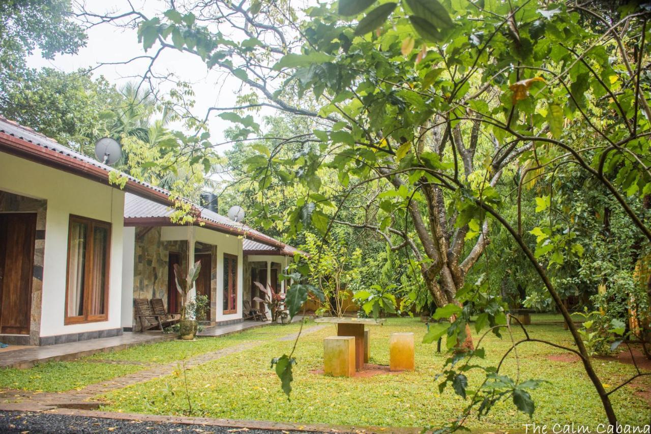 The Calm Cabana Dambulla Buitenkant foto