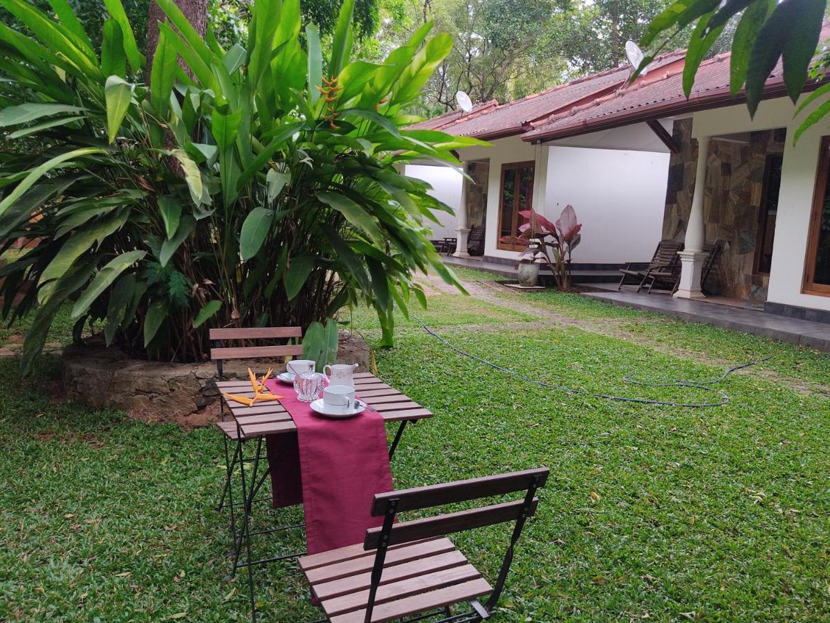The Calm Cabana Dambulla Buitenkant foto